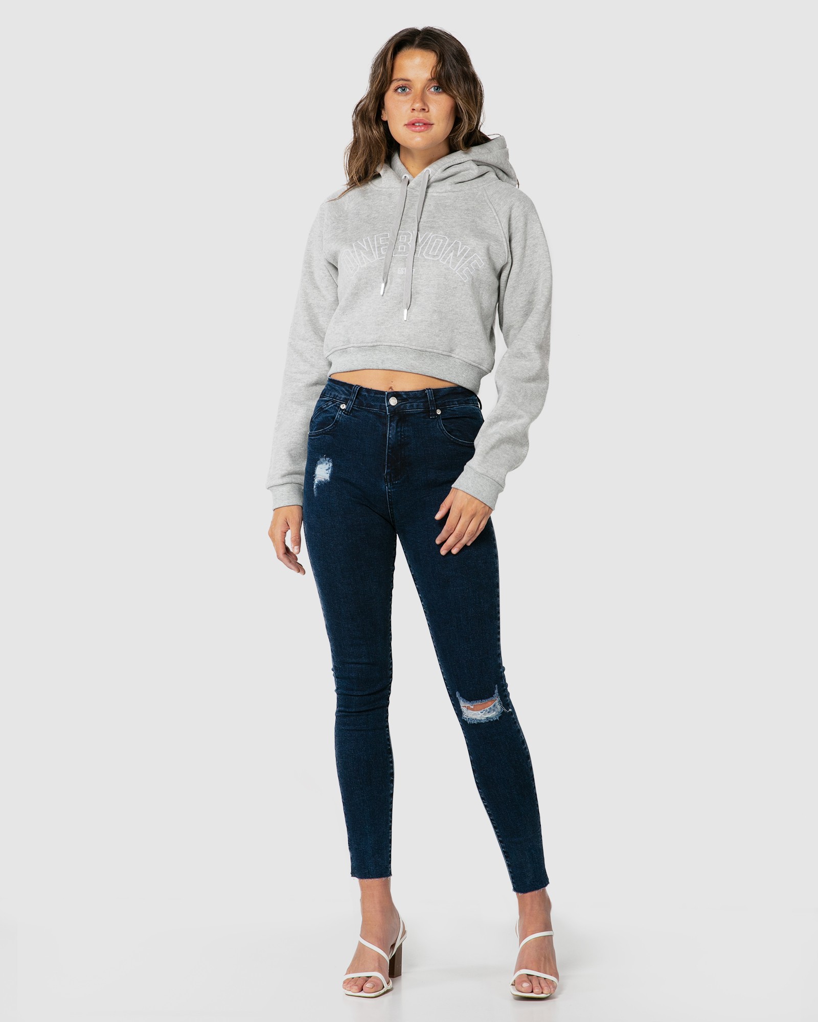 ESTABLISHED GREY HOODIE